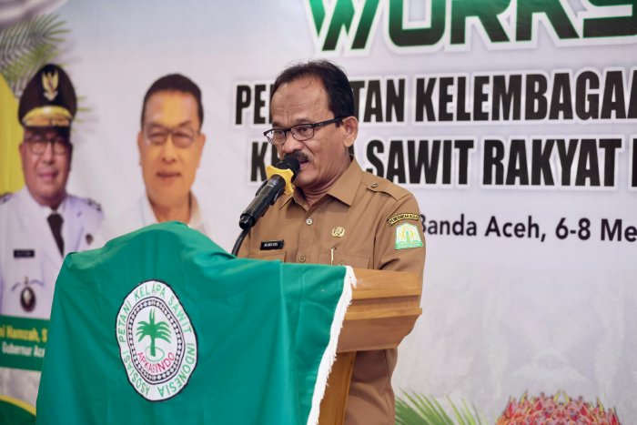 Perlunya Peningkatan Kemitraan Demi Produktivitas Sawit Rakyat di Aceh