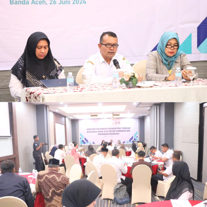 Jaring Masukan Akhir, Dinsos Aceh Dan Skala Gelar Workshop Raqan Disabilitas Antar Instansi/SKPA